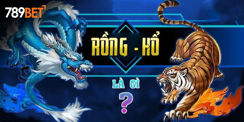 Rồng Hổ là gì?